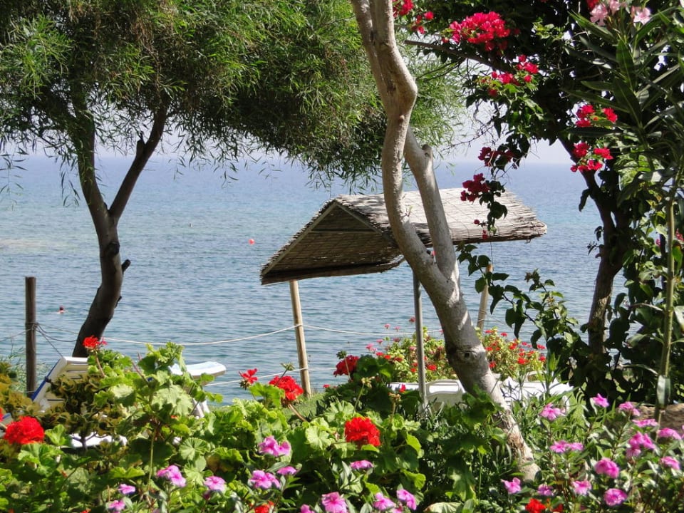 Crystal Springs Beach Hotel Crystal Springs Beach Hotel