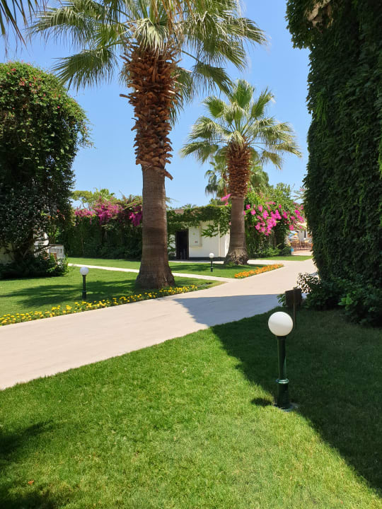 Gartenanlage Club Boran Mare Beach