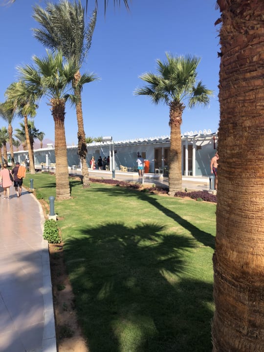 Gartenanlage Albatros Sharm Resort