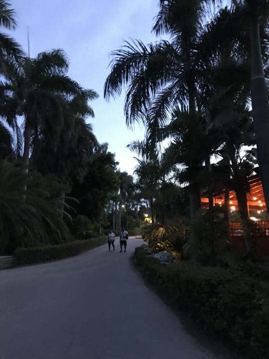 Gartenanlage Hotel Grand Palladium Palace Resort, Spa & Casino