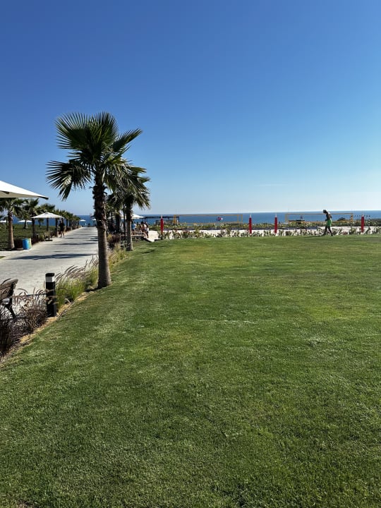 Gartenanlage Jacaranda Luxury Resort