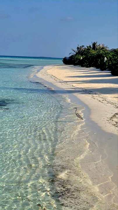 Strand Jawakara Islands Maldives