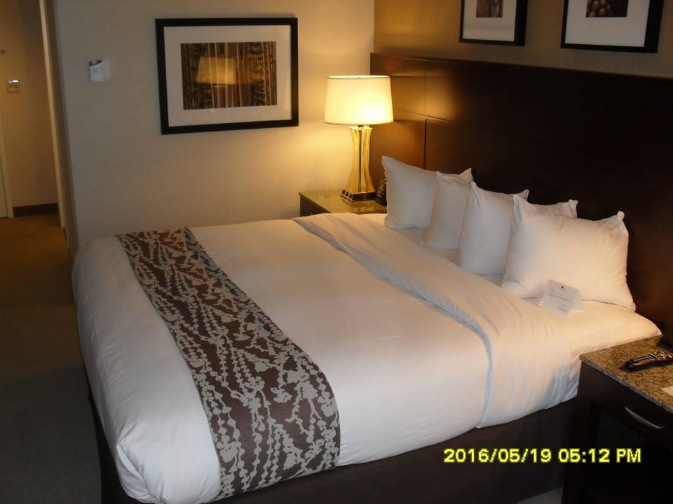 Das große Doppelbett Hotel Doubletree Club Bayside