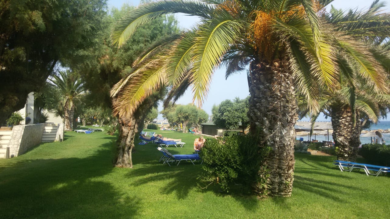 Gartenanlage Phãea Cretan Malia