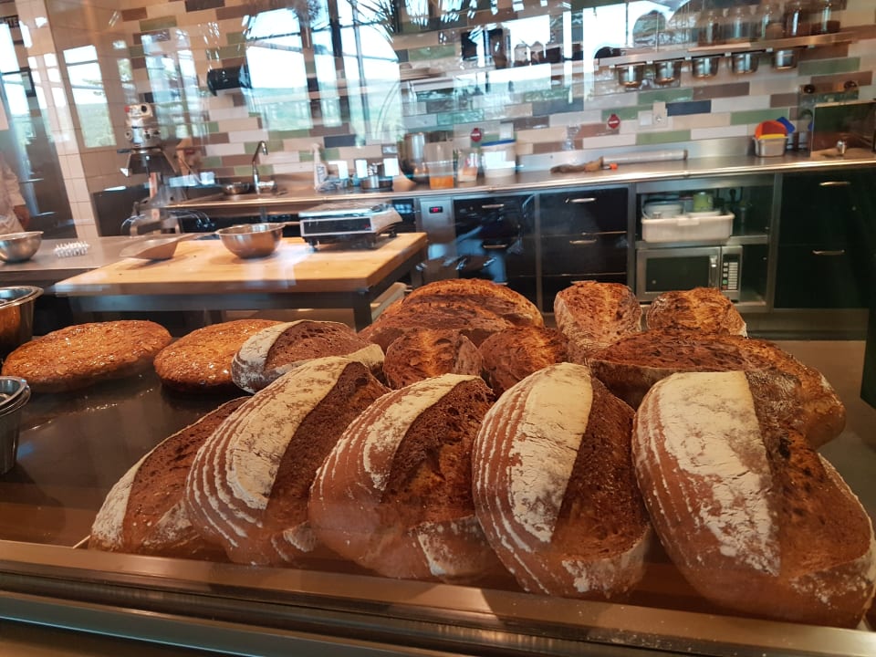 Gastro Seezeitlodge Hotel & Spa