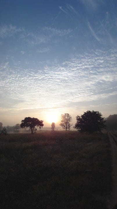Ausblick früh morgens The Baagh Resort