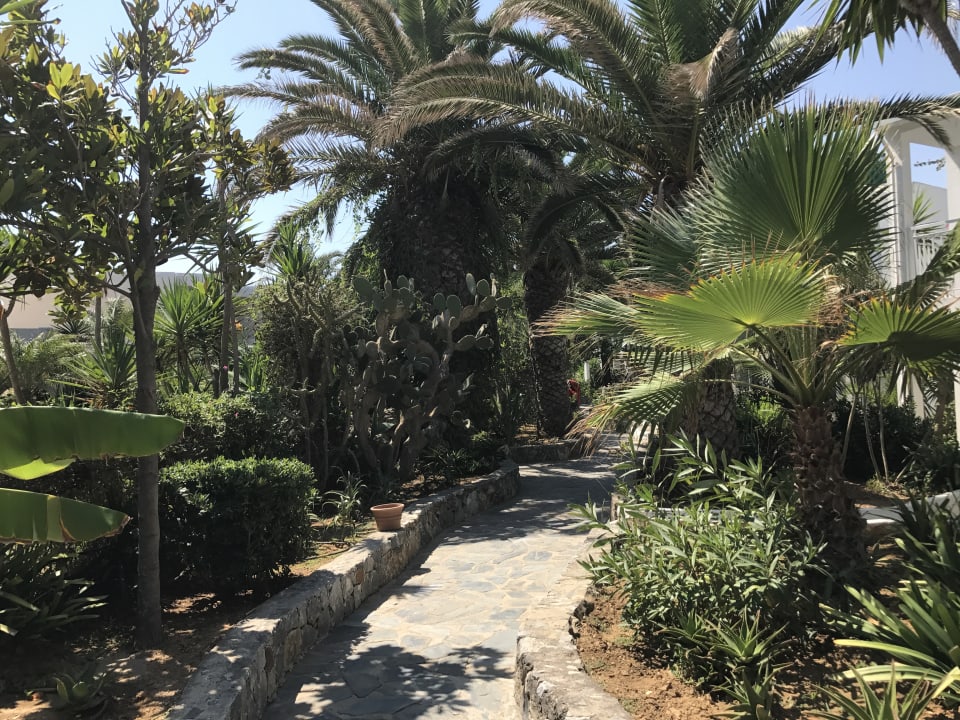 Gartenanlage HARPIN Happy Days Beach Hotel