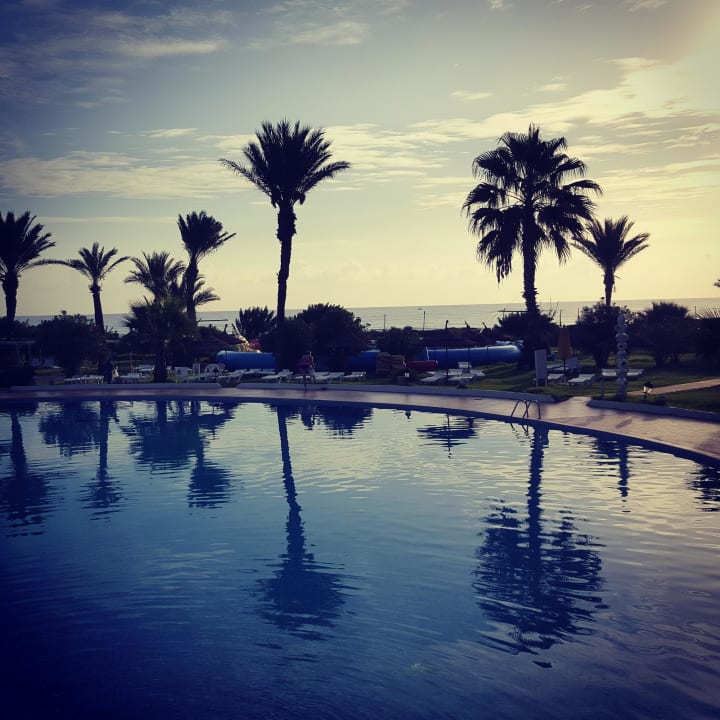 Palmen  Mahdia Beach & Aquapark