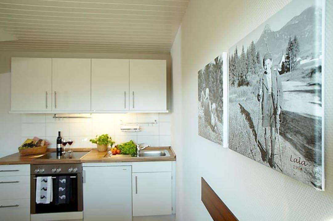 Küche Wohnung Rehbraun Ferienwohnungen Schittlerhaus