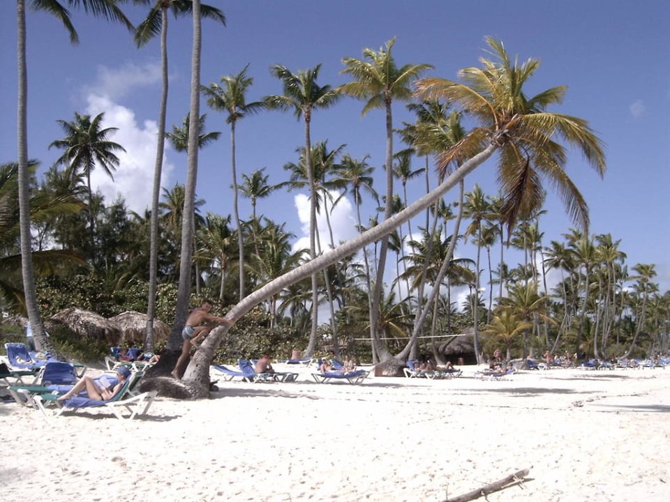 Plaza Bavaro Grand Palladium Punta Cana Resort & Spa