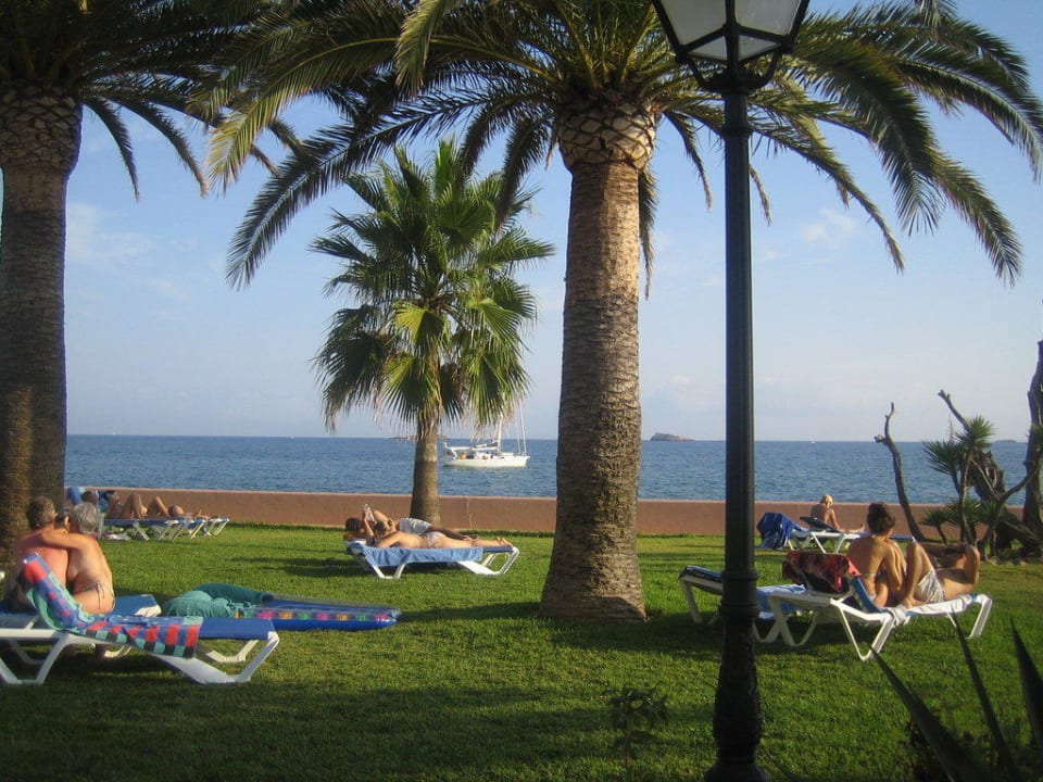 Hotelgarten THB Los Molinos - Adults only