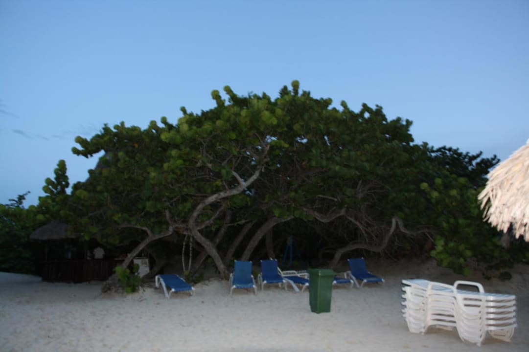 Hotel Be Live Turquesa Sol Hicacos Varadero