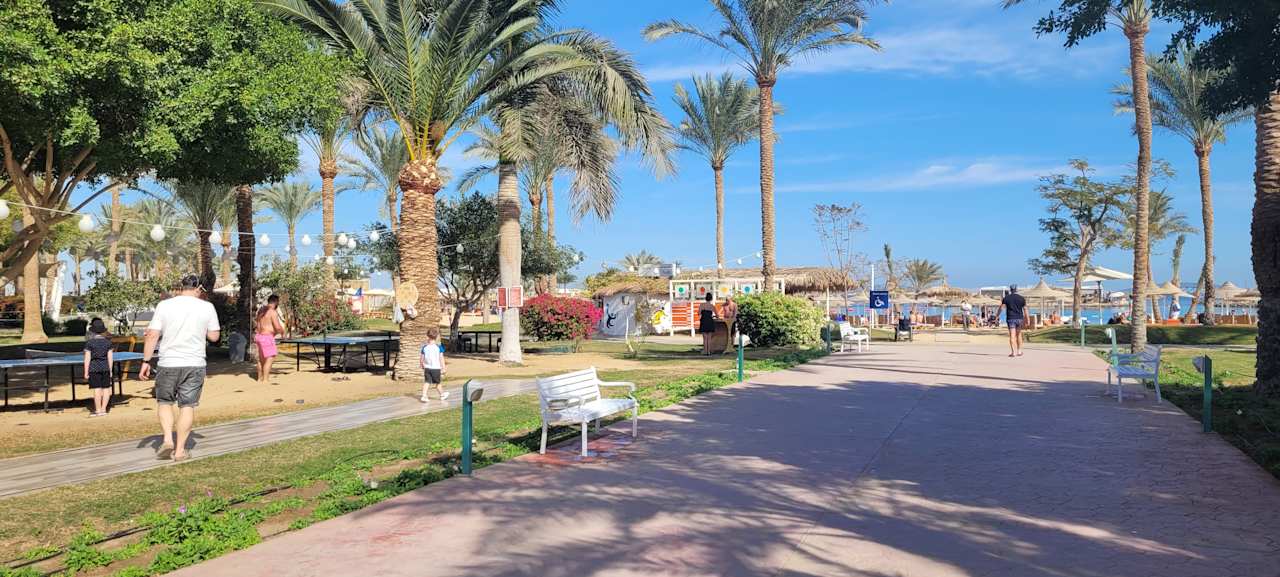 Ausblick Desert Rose