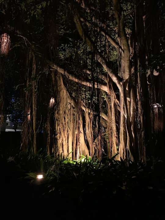 Gartenanlage Shangri-La Le Touessrok Mauritius