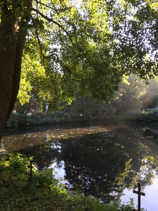 Teich vor dem Hotel Seezeit Hotel Bad Stuer