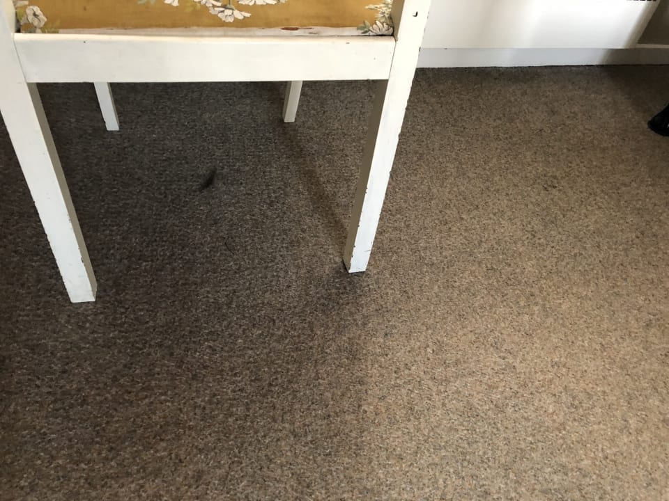 Zimmer Dancenter Ferienhäuser