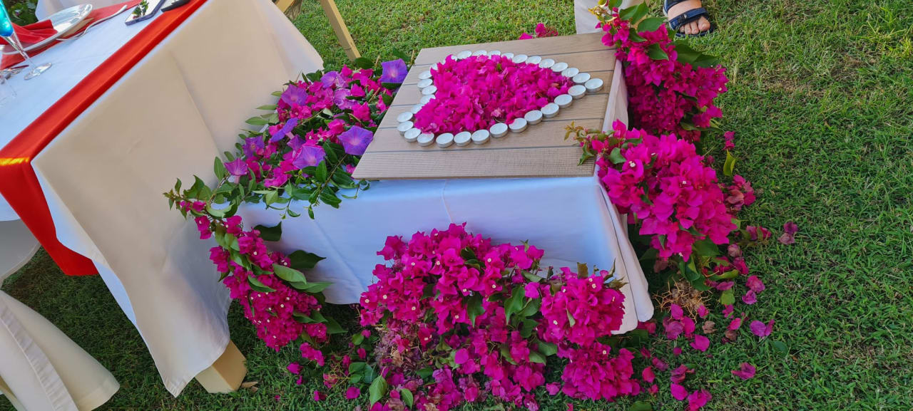 Gartenanlage Nerton Hotel - Erwachsenenhotel ab 16 Jahren