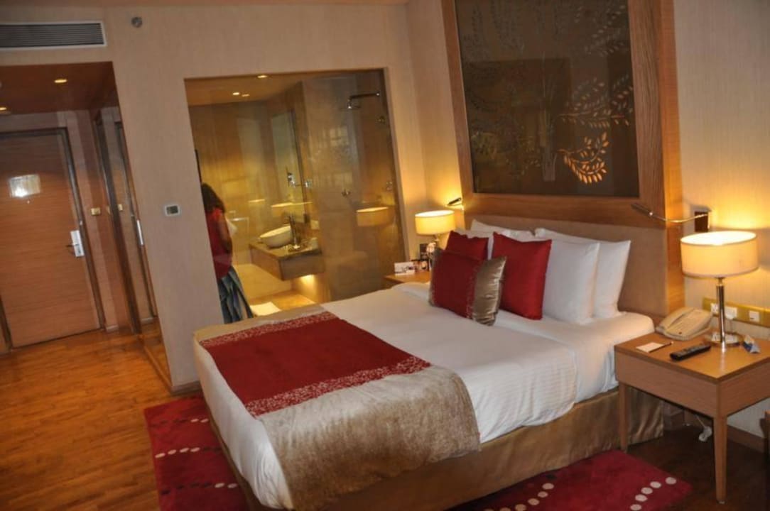 Blick ins Bad Radisson Blu Hotel New Delhi Dwarka