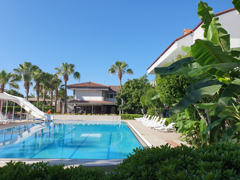 Pool Silver Hotel