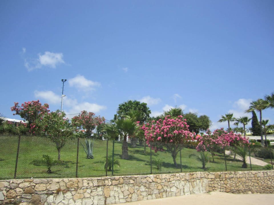 Auf dem Weg zum Strand My Home Resort