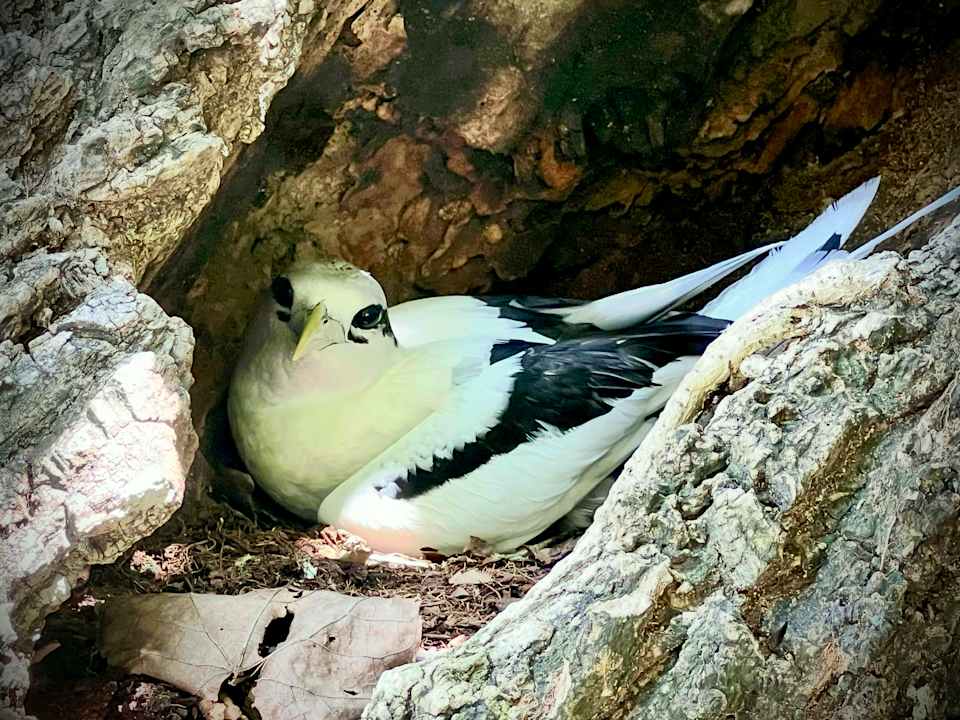 Sport & Freizeit Kuredu Island Resort & Spa