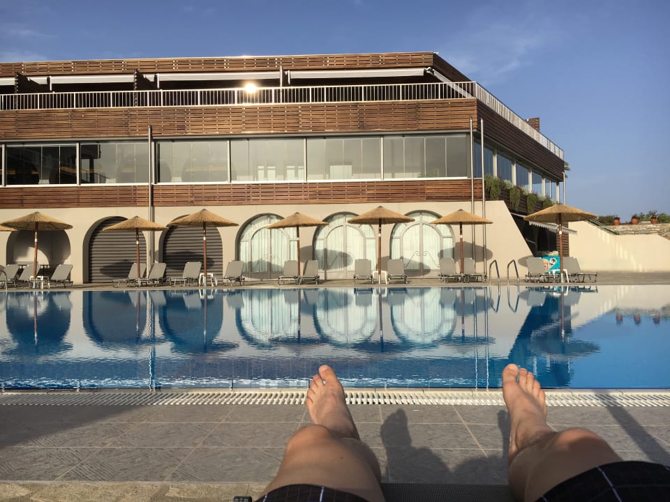 Pool Blue Dolphin Resort Hotel