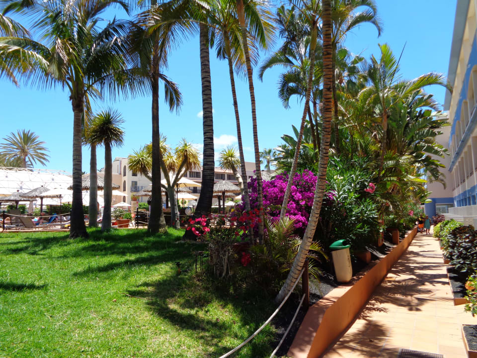 Außenansicht IFA Altamarena by Lopesan Hotels