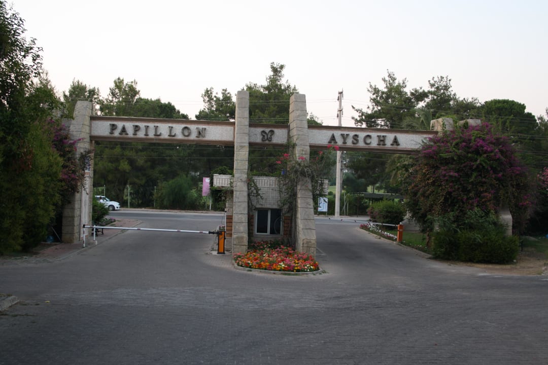 Einfahrt/Ausfahrt Papillon Ayscha