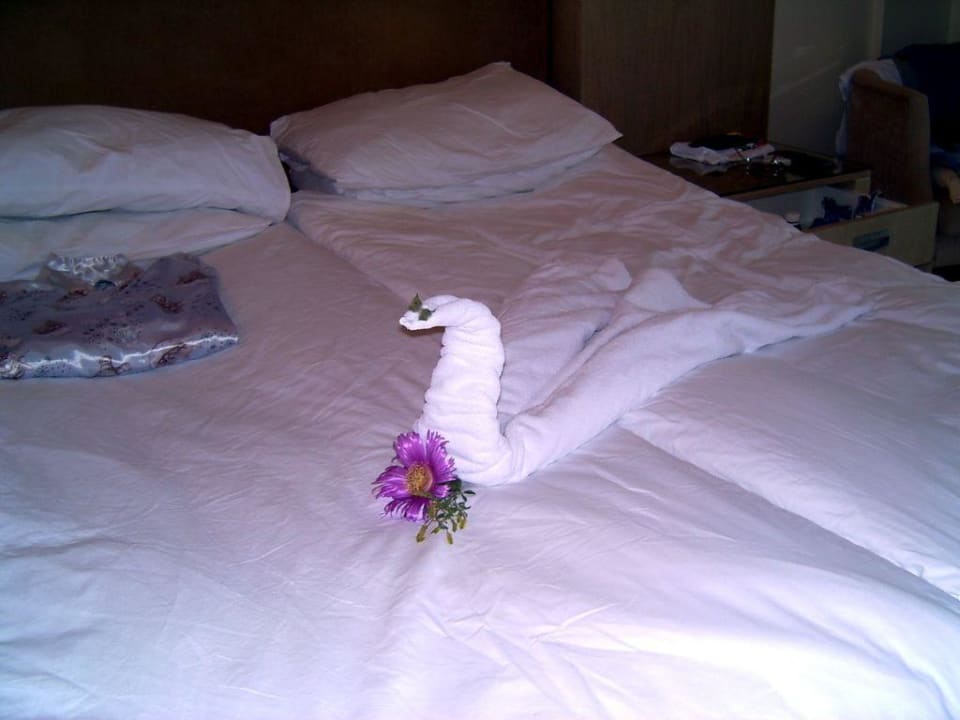 Immer mal was neues Hotel Serra Park