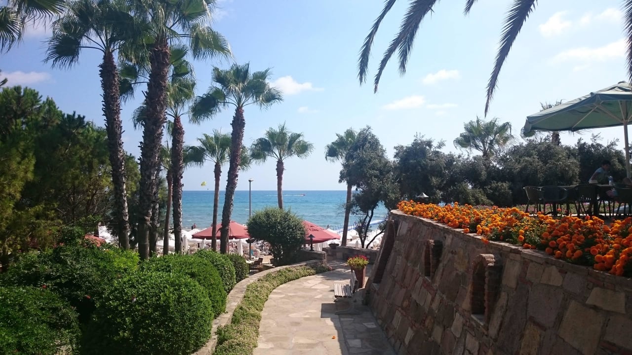 Snackbar  Arum Barut Collection