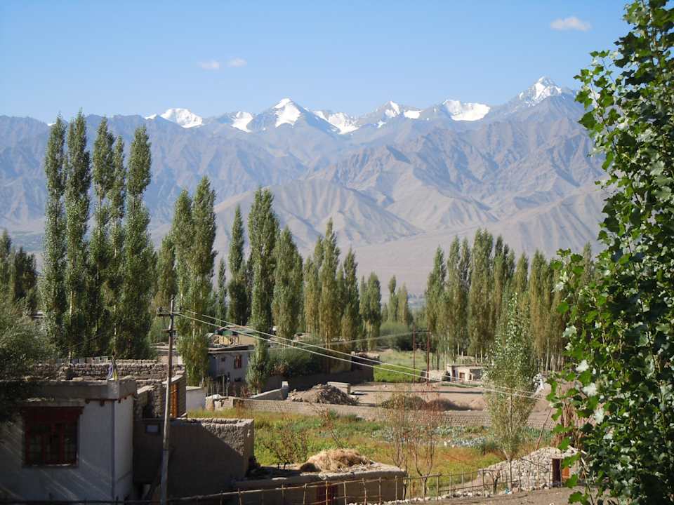 Herrlicher Ausblick vom Restaurant auf dem Dach Padma Guesthouse