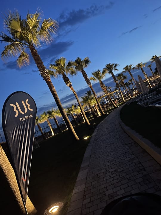 Ausblick TUI BLUE Palm Garden