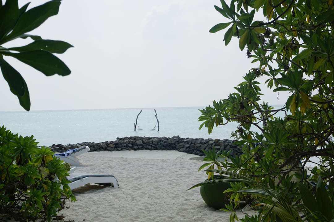 Strand Summer Island Maldives
