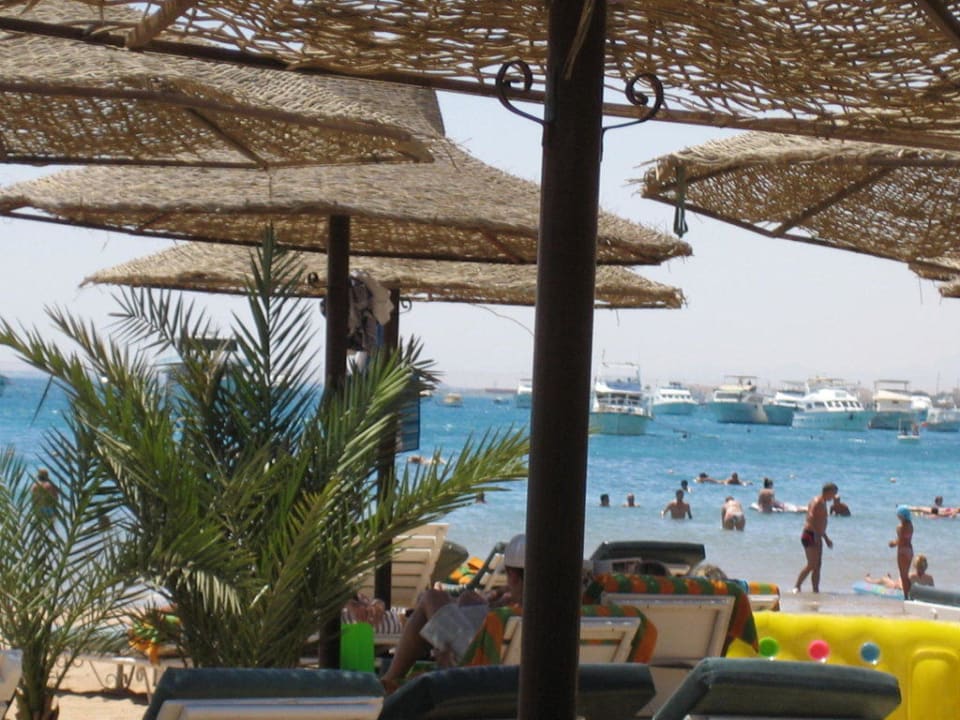 Blick v. d. Liege auf den Strand Giftun Azur Resort