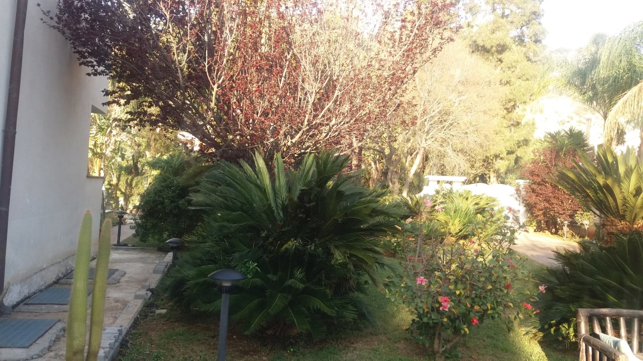 Gartenanlage B&B Villa Flora Mondello