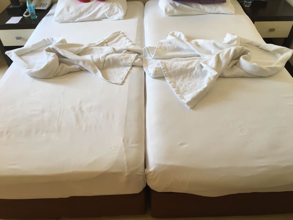 Zimmer Hotel Orfeus Park