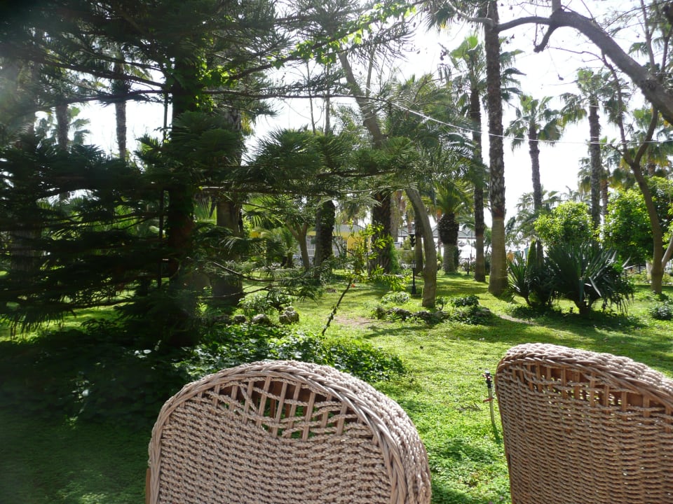 Aussicht von der Poolbar Botanik Hotel & Resort