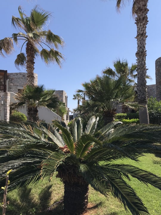 Gartenanlage Ikaros Beach Luxury Resort & Spa - Adults Only
