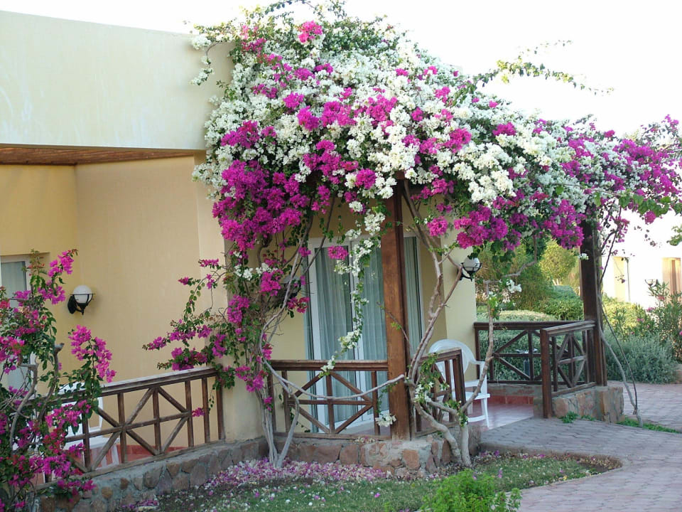 Pawilon  Solitaire Resort Marsa Alam