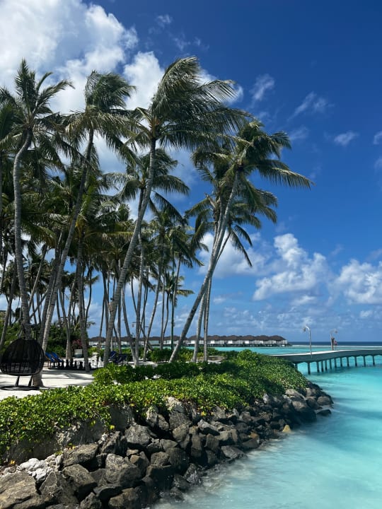 Strand TUI BLUE Olhuveli Romance