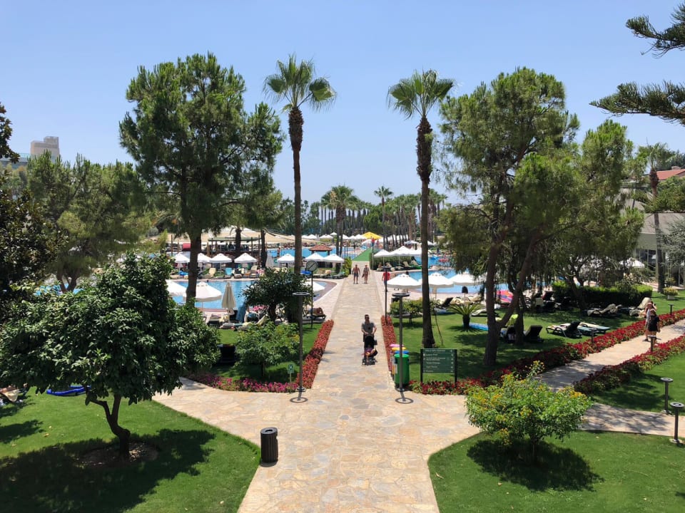 Gartenanlage Arum Barut Collection