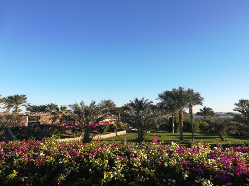 Gartenanlage Fort Arabesque Resort, Spa & Villas