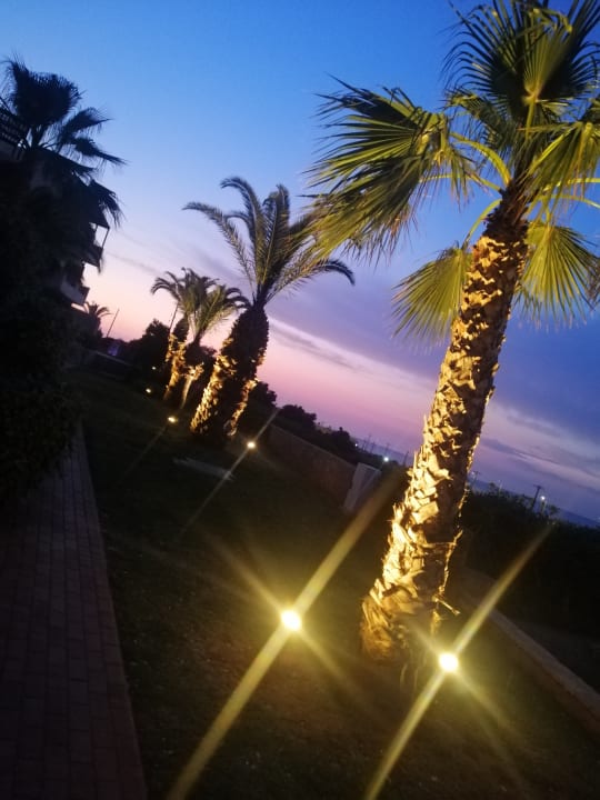 Gartenanlage Grand Hotel Holiday Resort