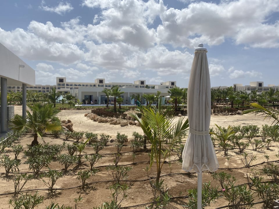 Außenansicht Hotel Riu Palace Boavista