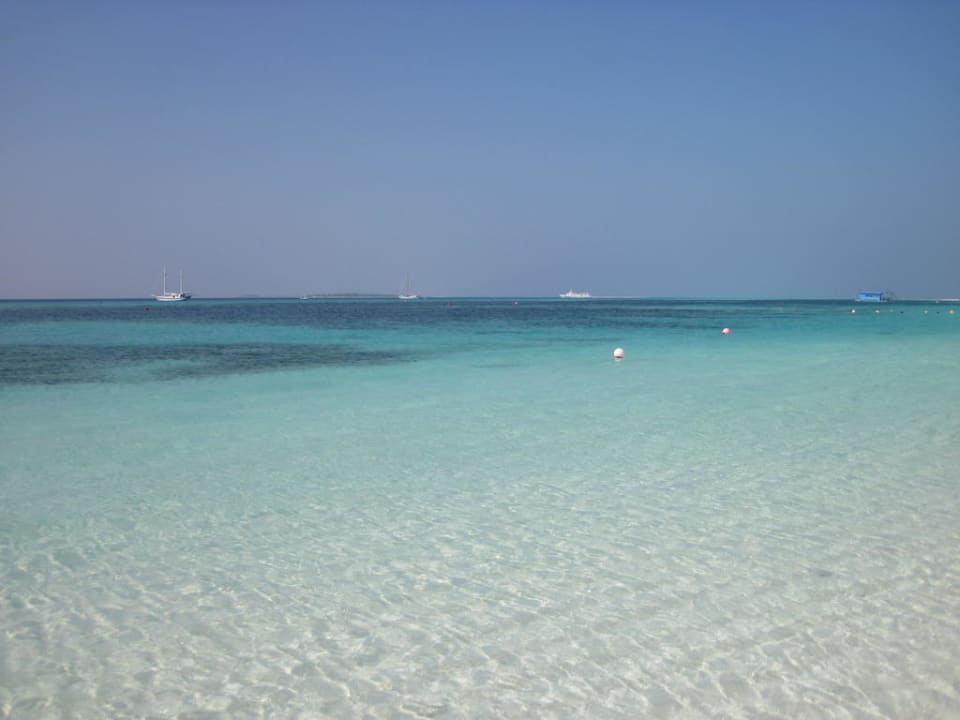 So sieht das Paradies aus Kuredu Island Resort & Spa