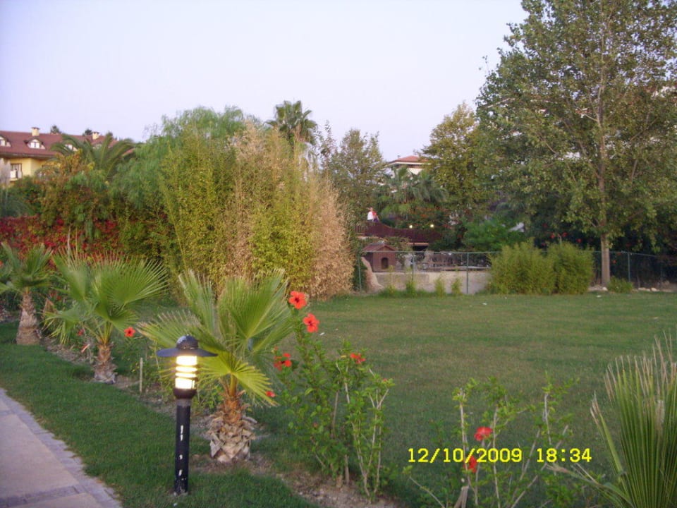 Blütenpracht Alba Resort Hotel