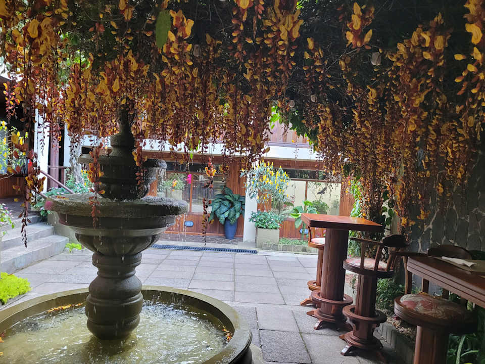 Gartenanlage Hotel Monteverde Country Lodge