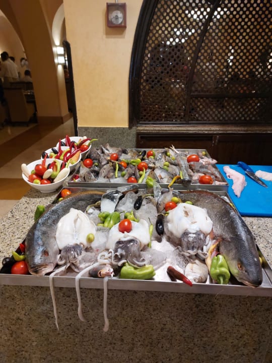 Gastro Hotel JAZ Makadi Star & Spa