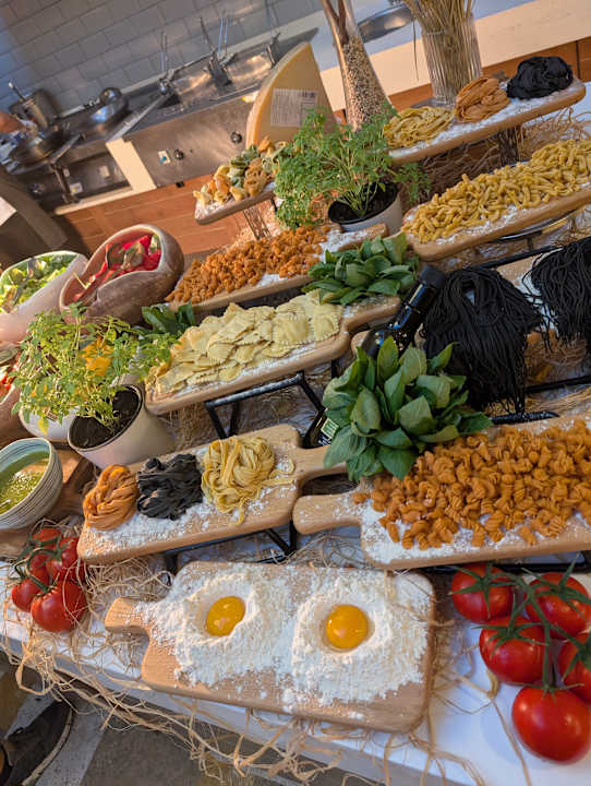 Gastro Lara Barut Collection