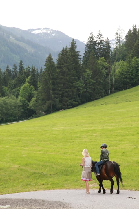 Sport & Freizeit Hotel Taxerhof